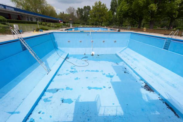 Best Basement water damage restoration  in Christmas, FL
