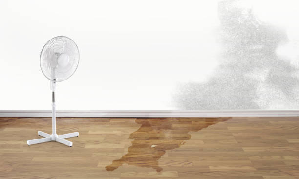 Water damage restoration process in Christmas, FL